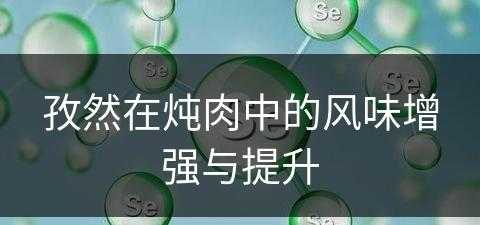 孜然在炖肉中的风味增强与提升